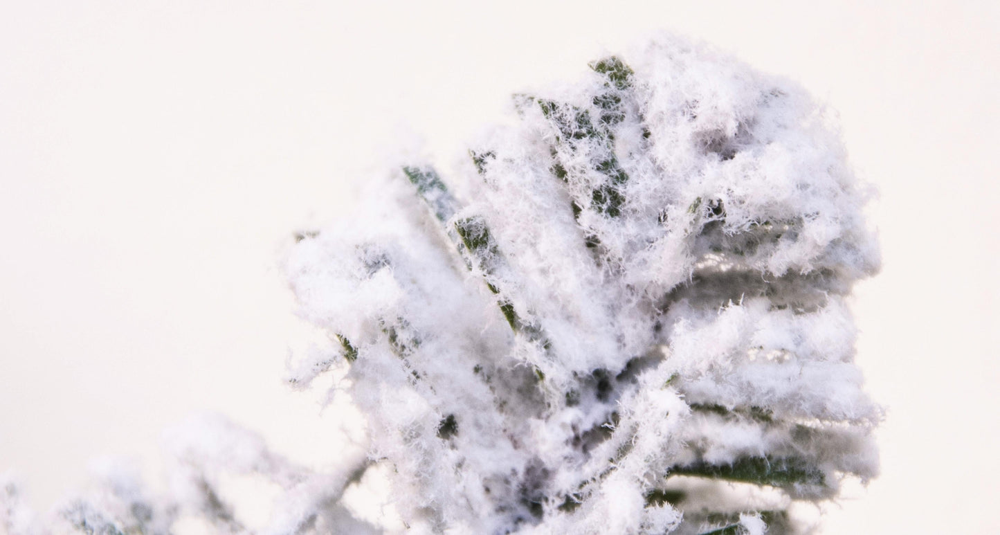 The 270cm Snowy Alpine Garland