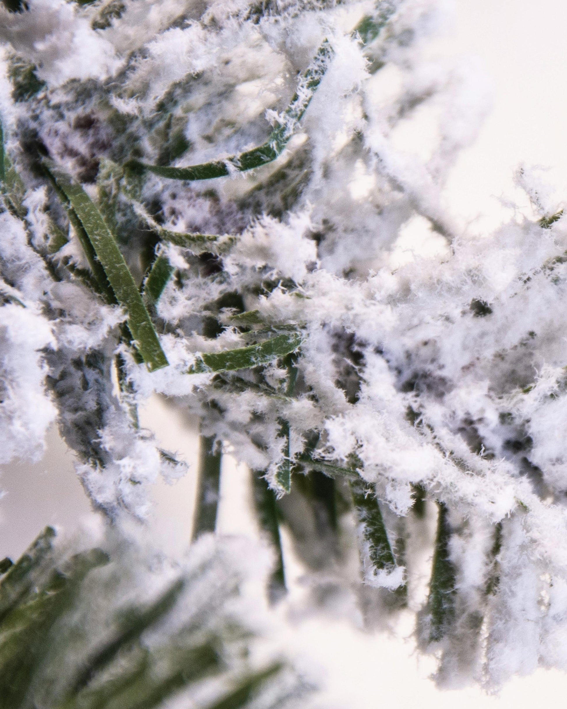 The Pre-lit Connectable 270cm Snowy Alpine Garland