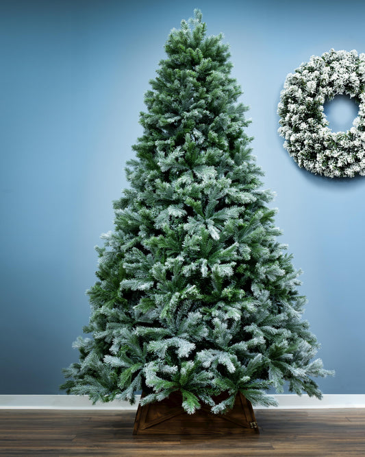 The 8ft Arbor Blue Pine Tree