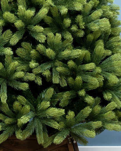 The 12ft Arbor Ultima Tree