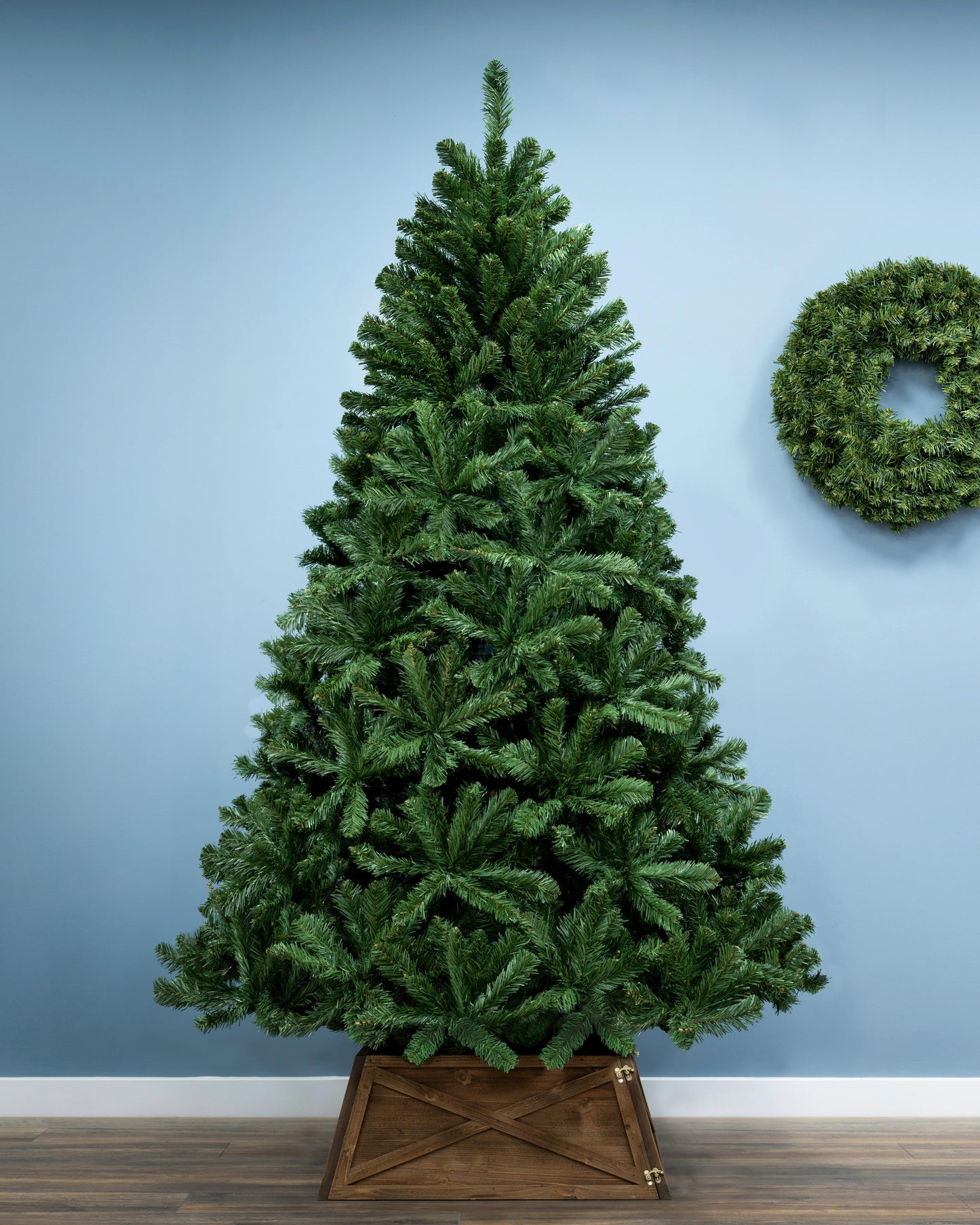 The 12ft Arbor Vitae Fir Tree