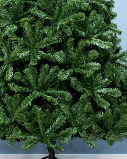 The 4ft Arbor Vitae Fir Tree