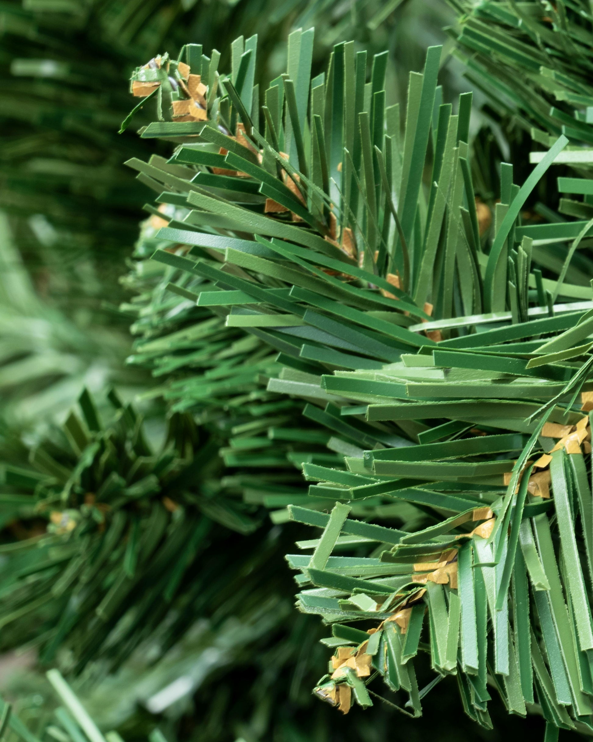 The 4ft Arbor Vitae Fir Tree