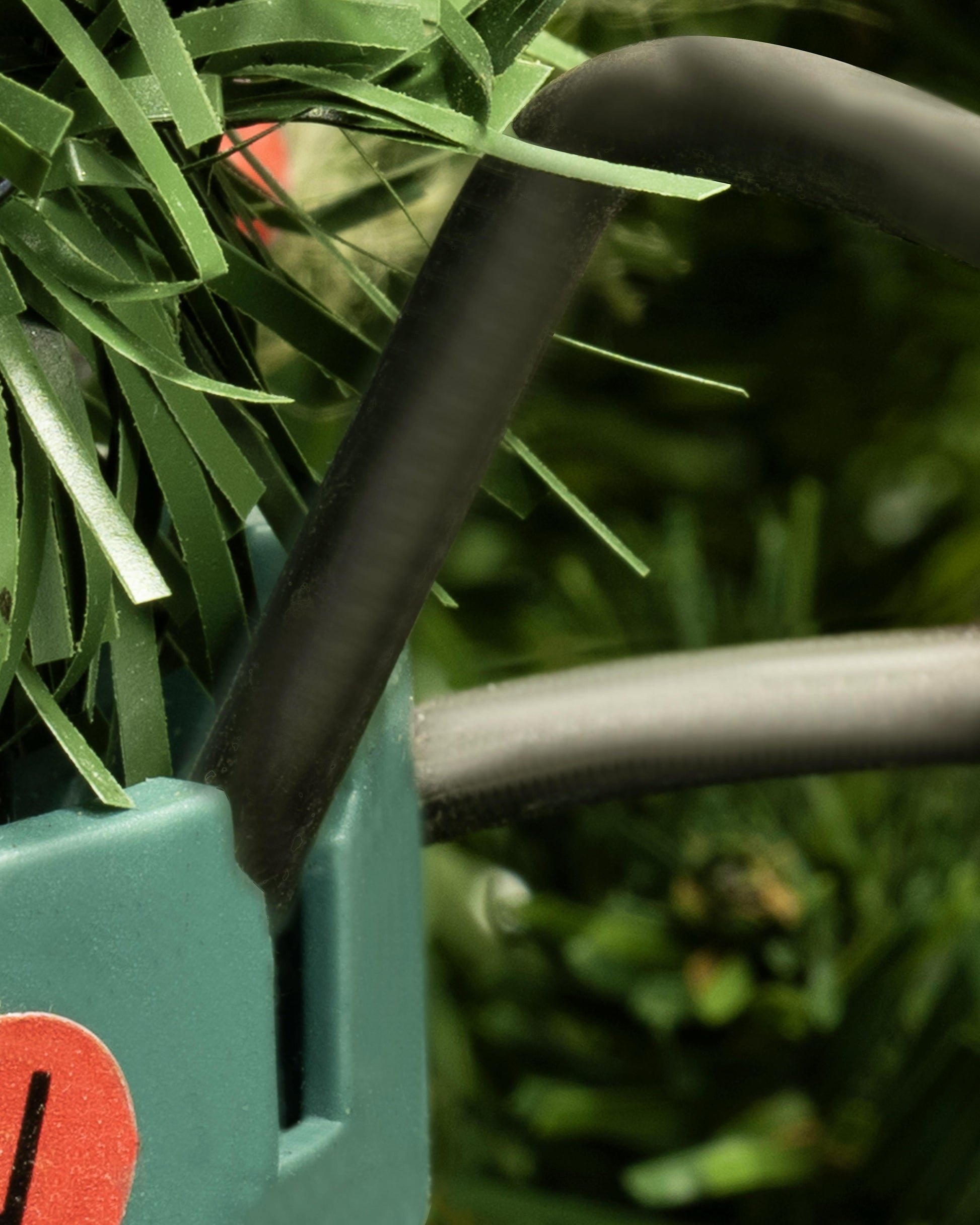 The 16ft Arbor Vitae Fir Tree