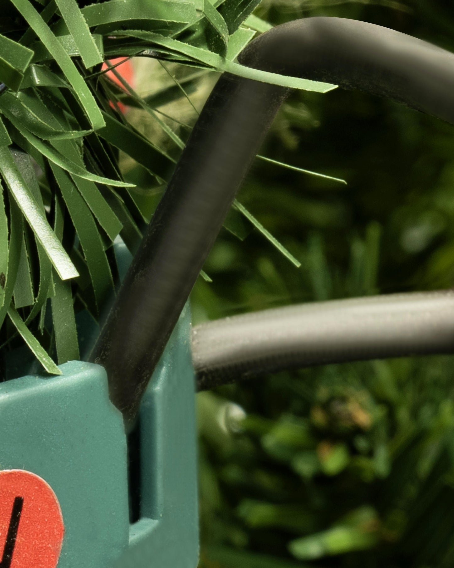 The 18ft Arbor Vitae Fir Tree