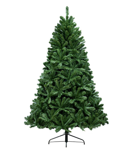 The 20ft Arbor Vitae Fir Tree