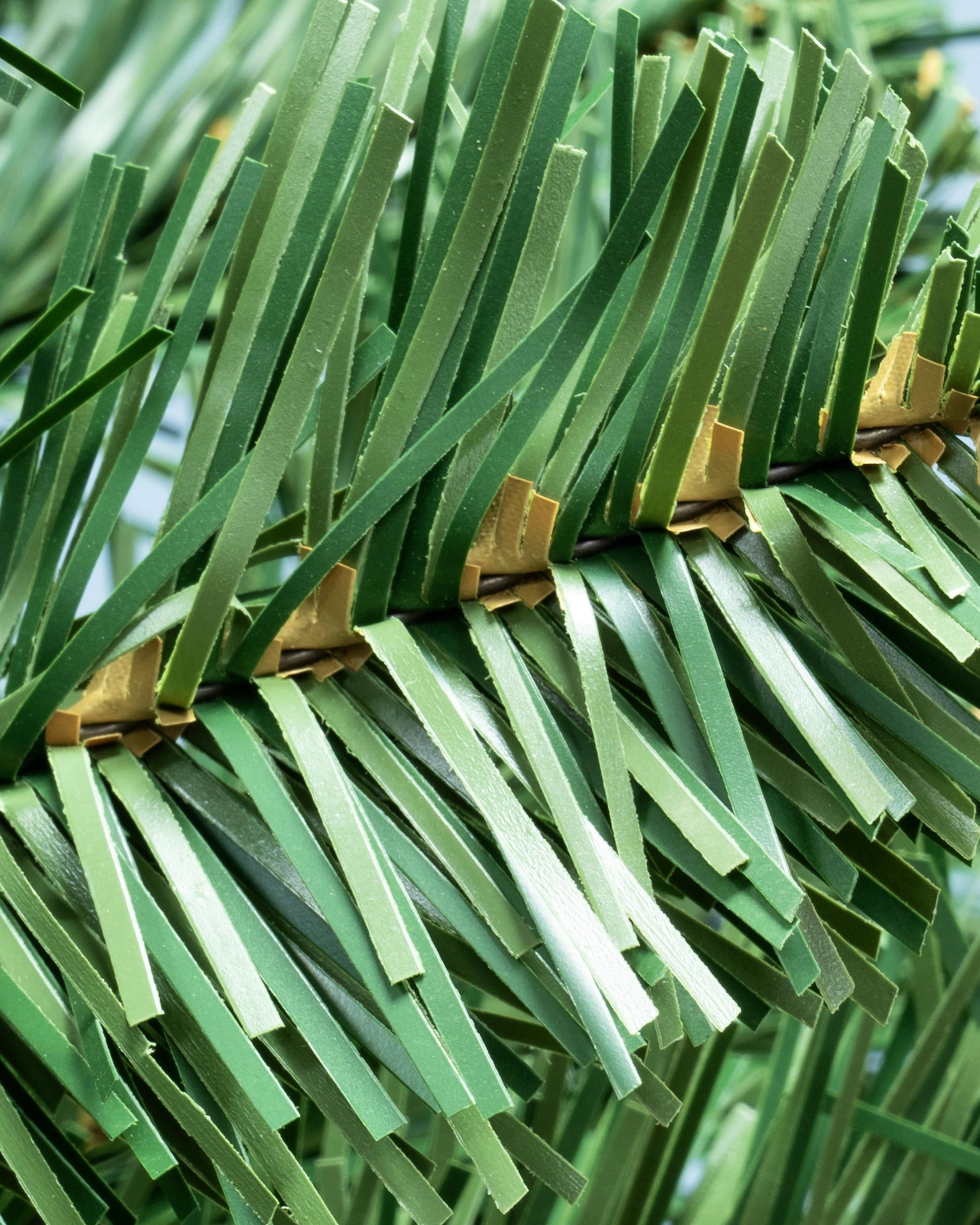 The 12ft Arbor Vitae Fir Tree