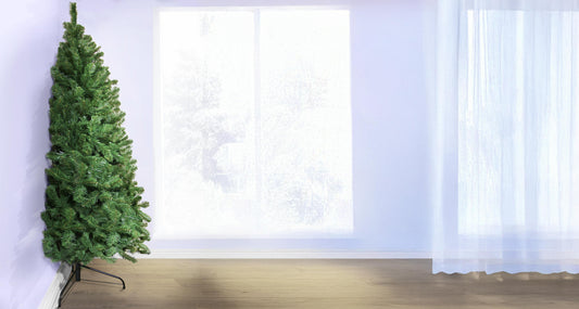 The 4ft Arbor Vitae Fir Half Tree