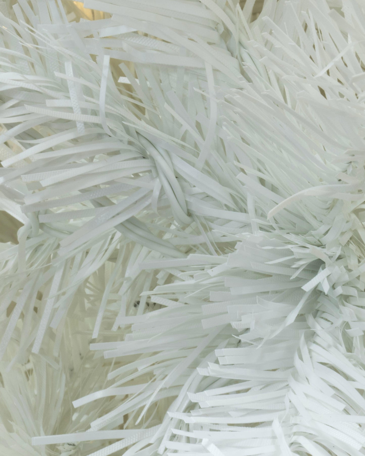 The 10ft Pre-lit Bianca Pine Tree with Warm White Lights