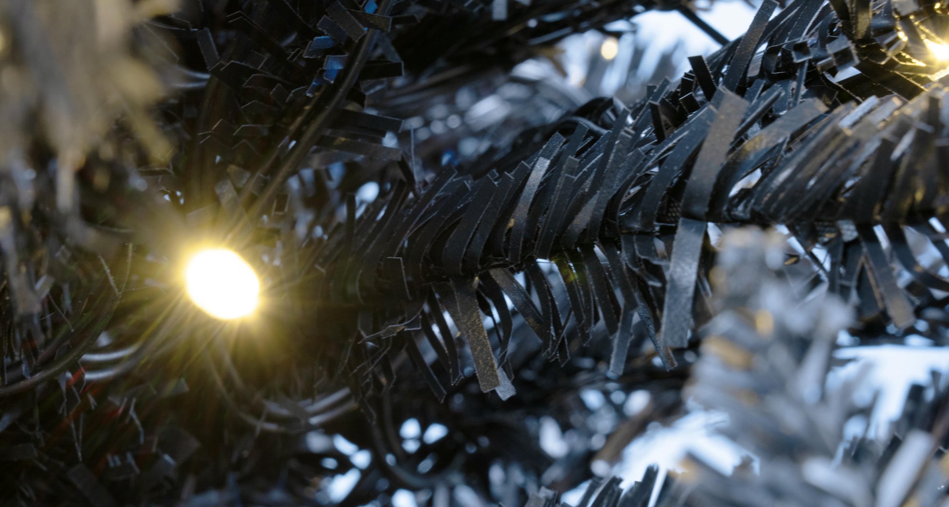 The Pre-Lit Black Italian Pencilimo Tree