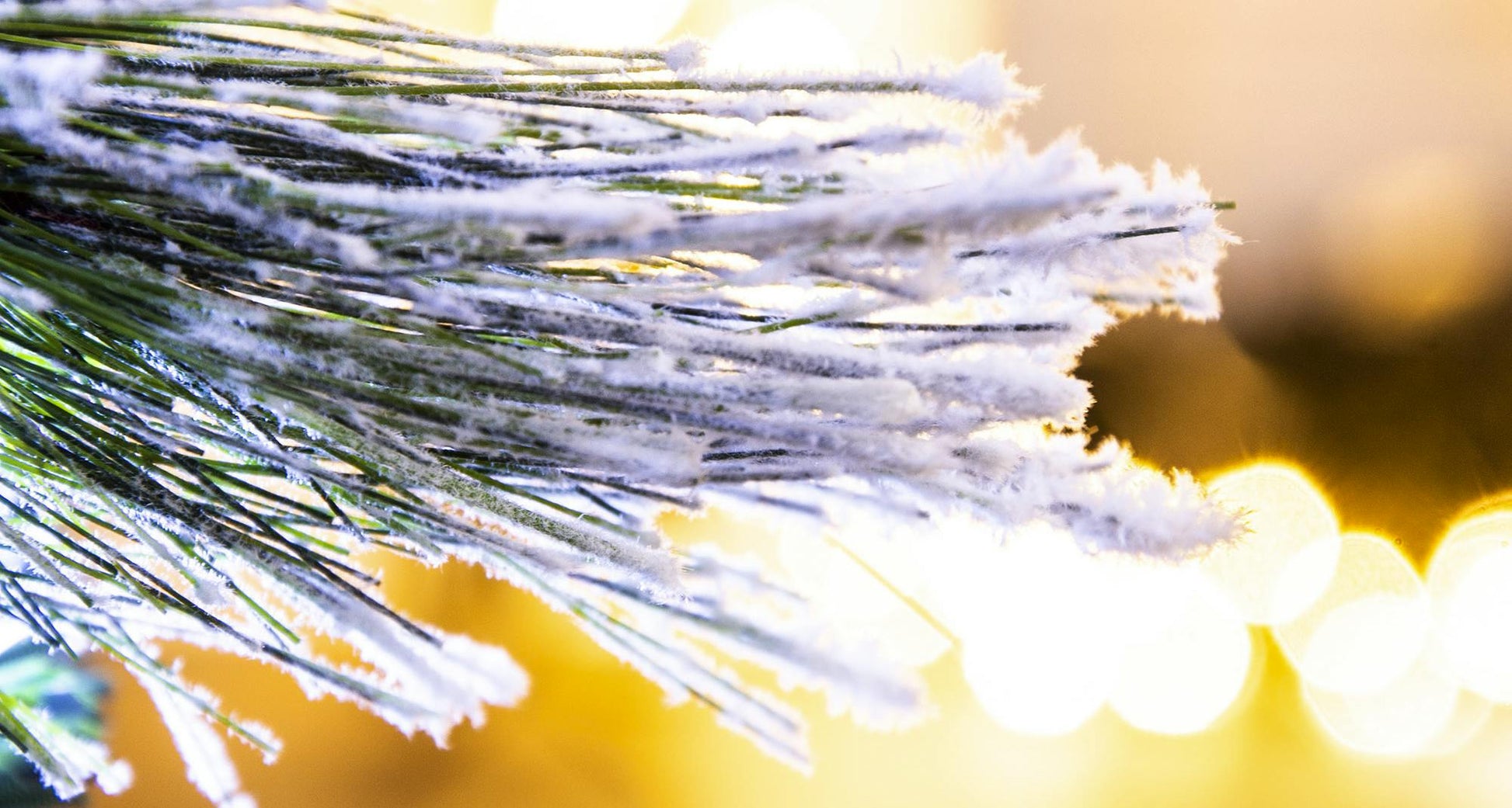 The Snowy LED Frosted Pine Fibre Optic Tree