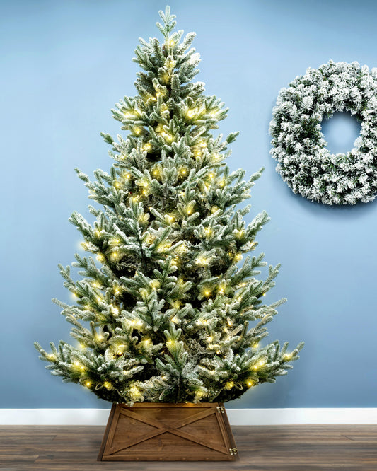 The 7ft Pre-lit Frosted Ultra Mountain Pine