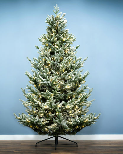 The 4ft Pre-lit Frosted Ultra Mountain Pine