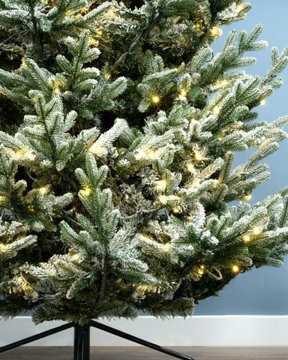 The 4ft Pre-lit Frosted Ultra Mountain Pine