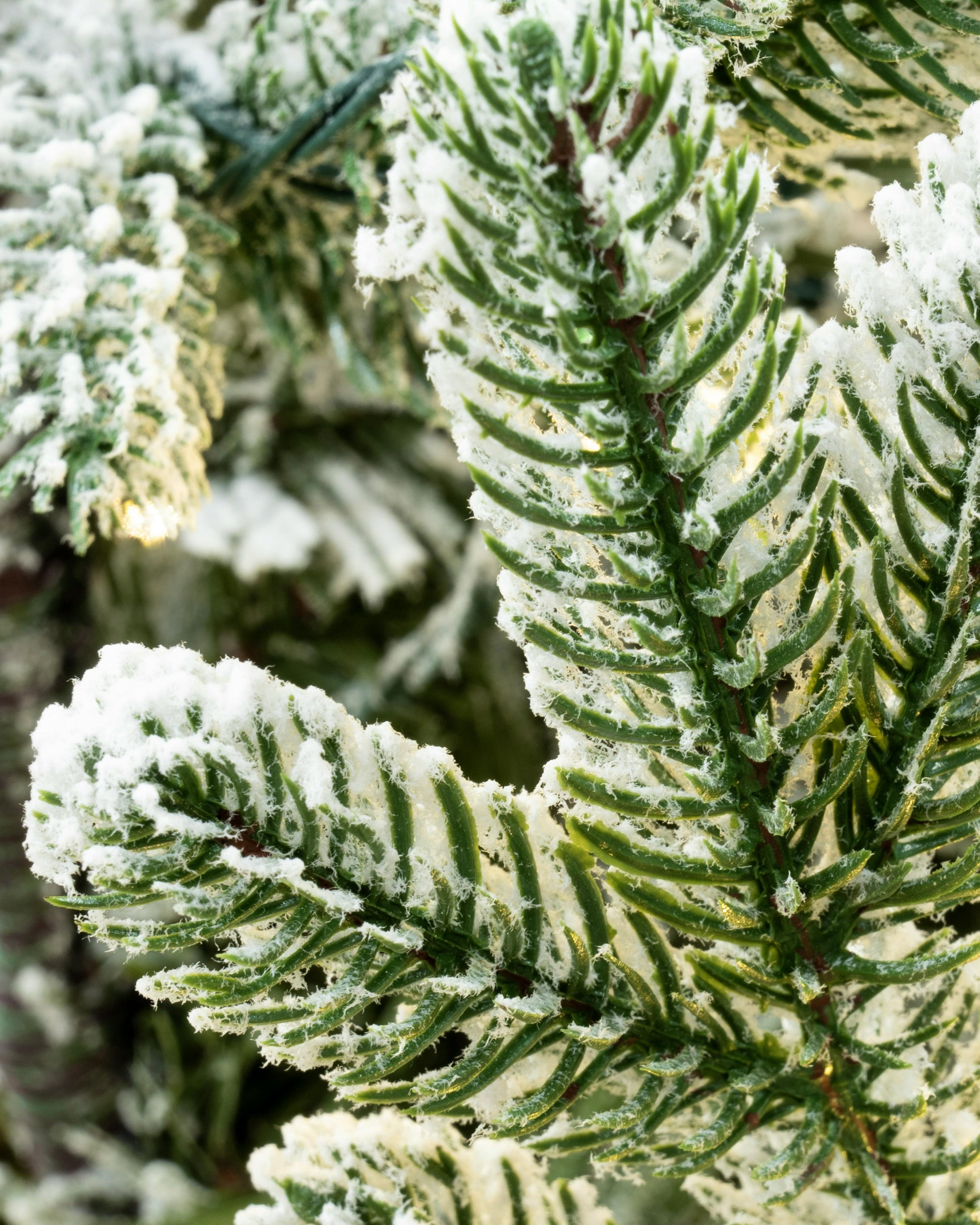 The 5ft Pre-lit Frosted Ultra Mountain Pine