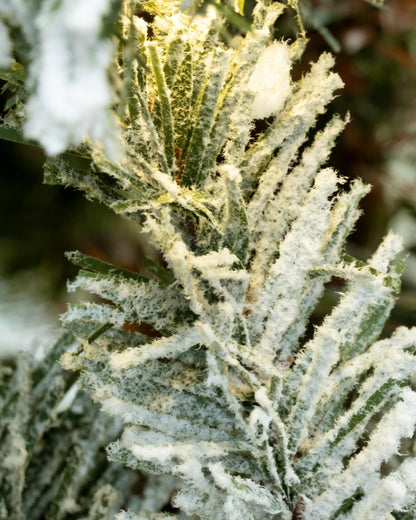 The 6ft Pre-lit Frosted Ultra Mountain Pine