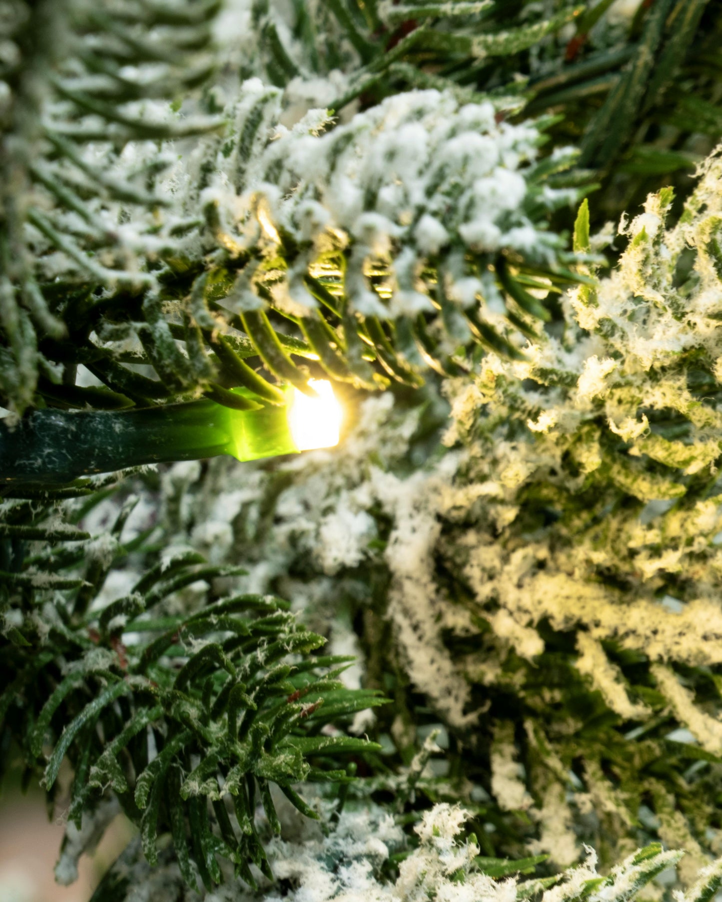 The 6ft Pre-lit Frosted Ultra Mountain Pine