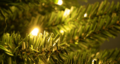 The Pre-Lit Green Italian Pencilimo Tree