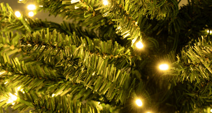 The Pre-Lit Green Italian Pencilimo Tree