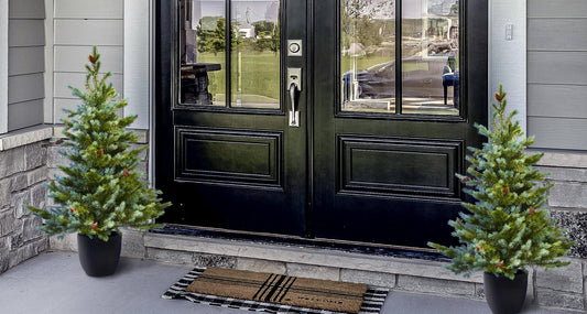 The Cairngorm Pine Potted Tree (3ft to 4ft)