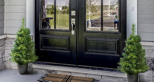 The Majestic Dew Pine Potted Tree (3ft to 5ft)