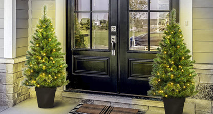 The 4ft Pre-lit Majestic Dew Pine Potted Tree (Indoor/Outdoor)