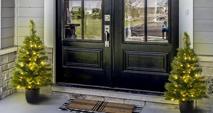 The 3ft Pre-lit Majestic Dew Pine Potted Tree (Indoor/Outdoor)