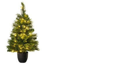 The 3ft Pre-lit Majestic Dew Pine Potted Tree (Indoor/Outdoor)