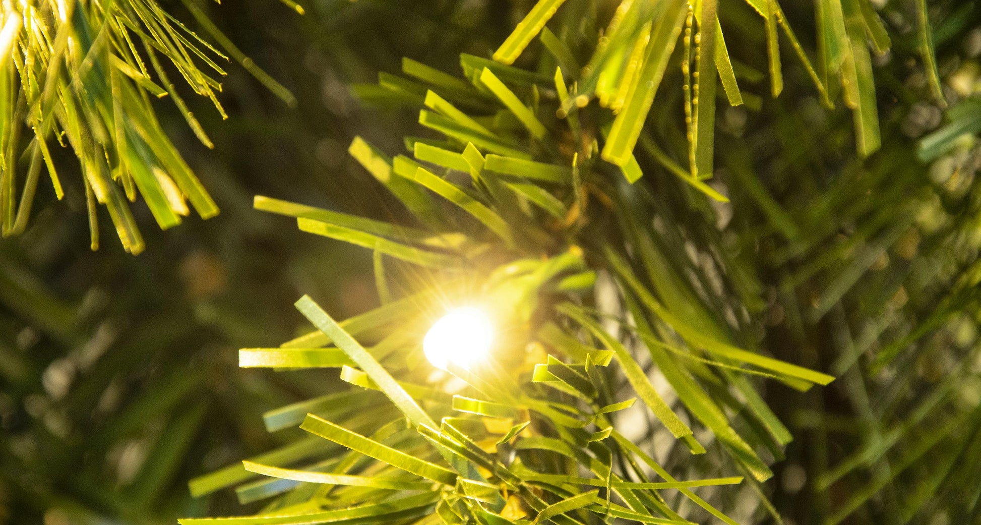 The 3ft Pre-lit Majestic Dew Pine Potted Tree (Indoor/Outdoor)
