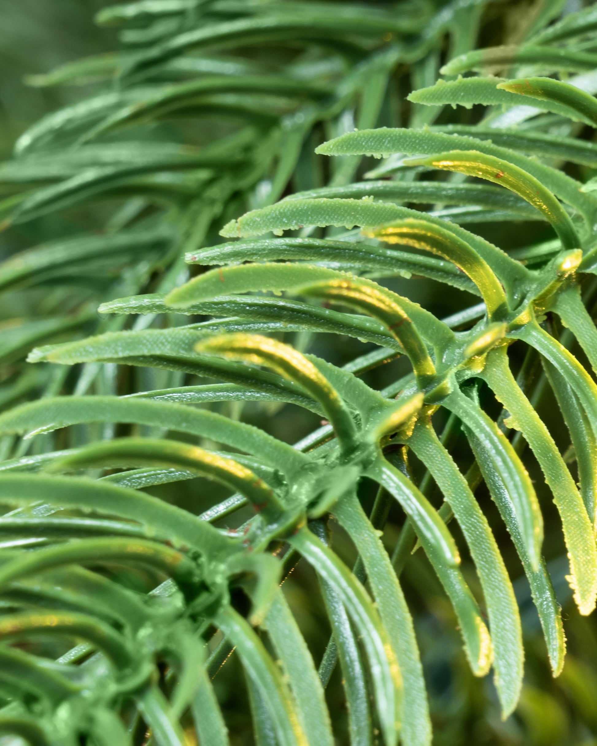 The 6ft Indoor/Outdoor Pre-lit Ultra Slim Mixed Pine