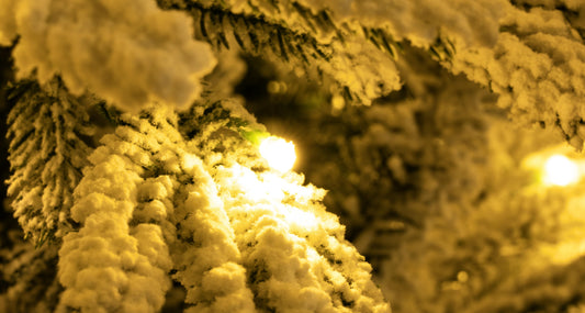 The Pre-Lit Snowy Alpine Tree Warm White (4ft to 12ft)