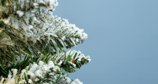 The Pre-lit Snowy Pencil Tree (6ft-7ft)