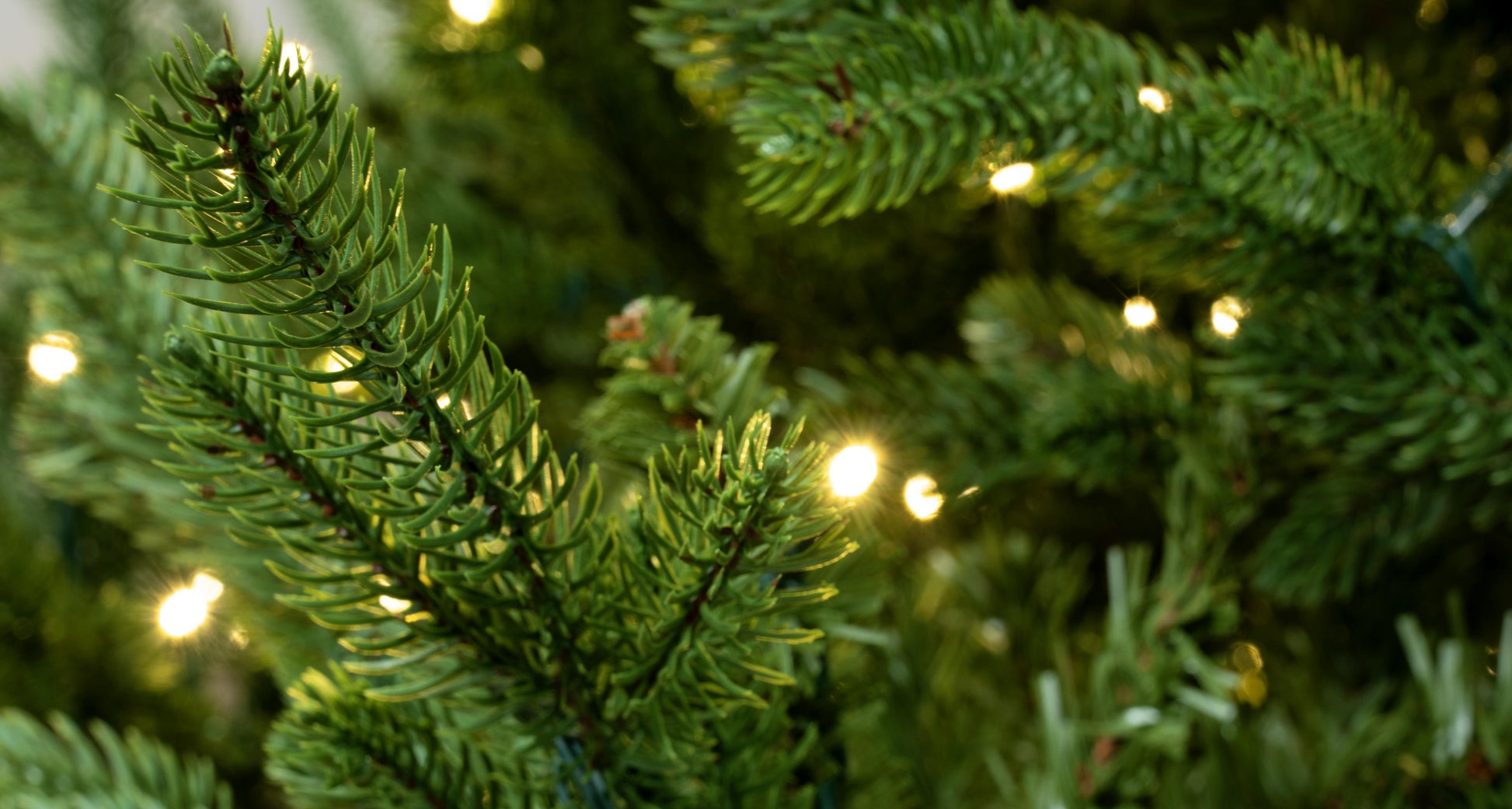 The Pre-lit Ultra Mountain Pine (4ft to 10ft)