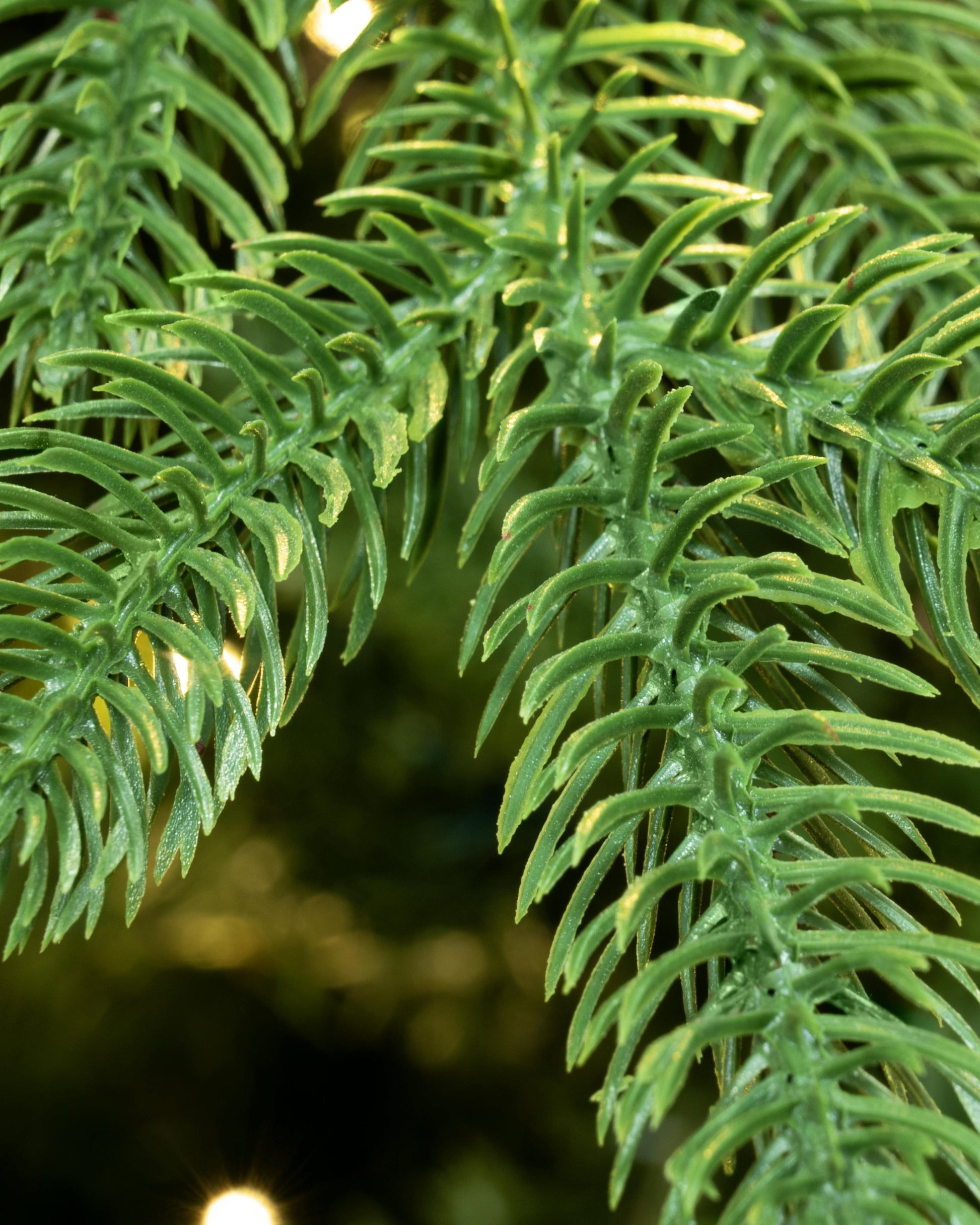 The 5ft Pre-lit Ultra Mountain Pine