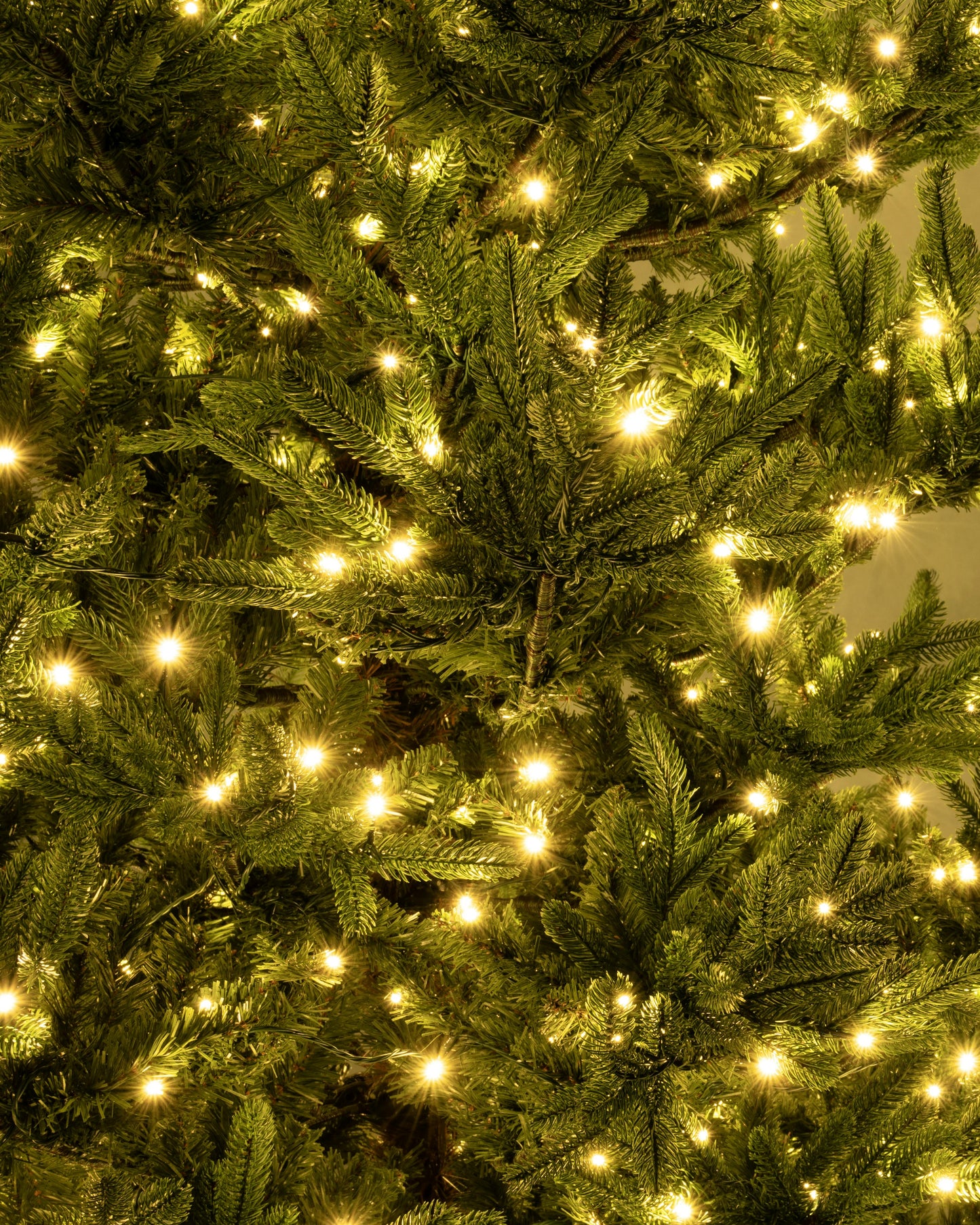 The 6ft Pre-lit Ultra Mountain Pine