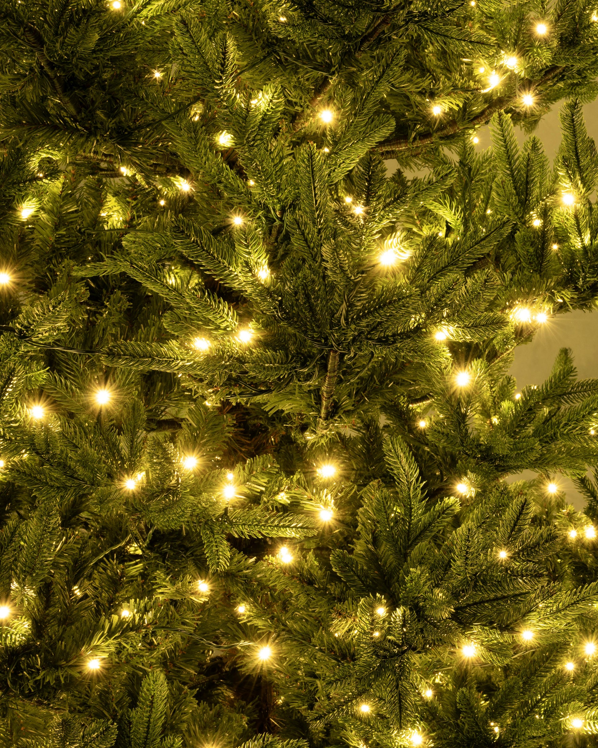 The 5ft Pre-lit Ultra Mountain Pine