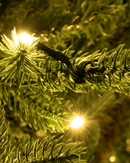 The 4ft Pre-lit Ultra Mountain Pine