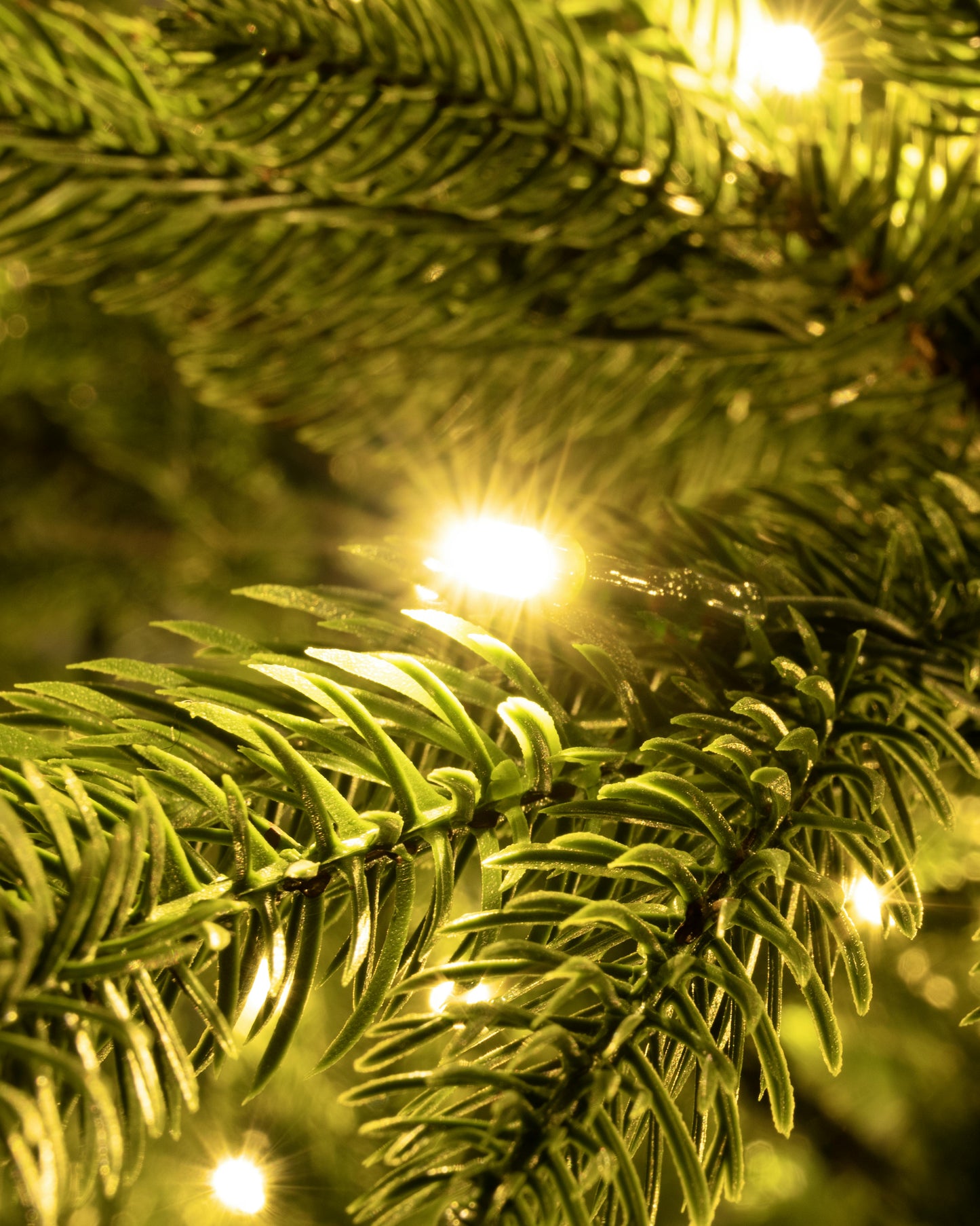 The 4ft Pre-lit Ultra Mountain Pine