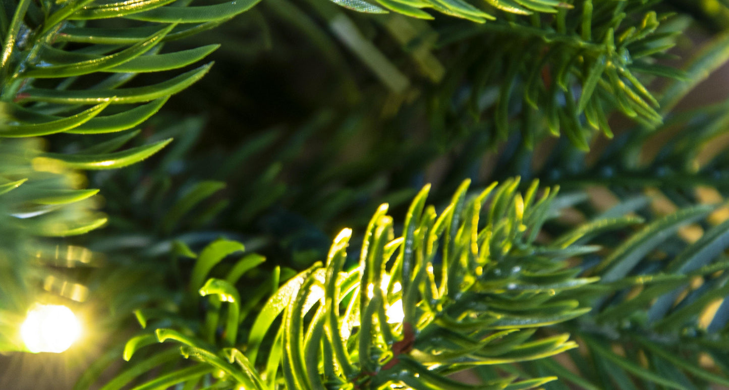 The 6ft Pre-lit Ultra Mixed Pine Garland