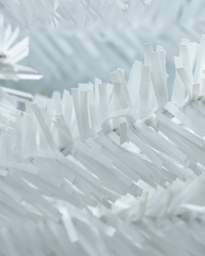 The White Italian Pencilimo Tree